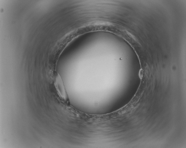 X0000069380821200605192146