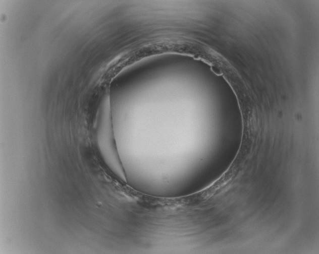 X0000069380822200605192146