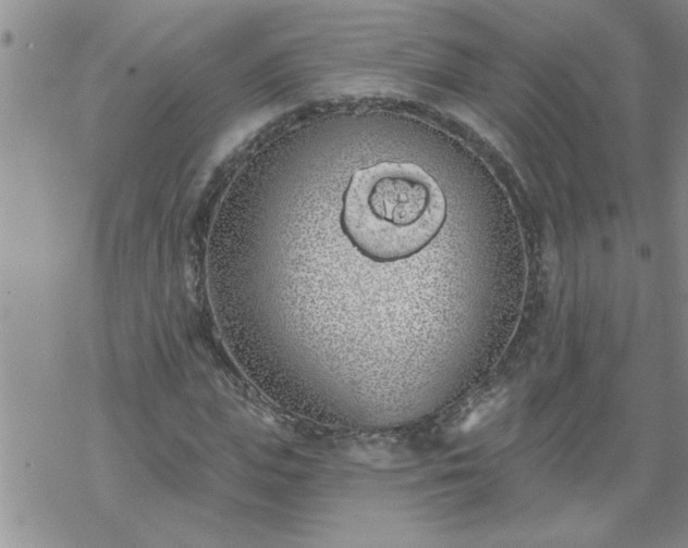 X0000069380823200605192146