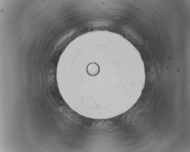 X0000069380824200605192146