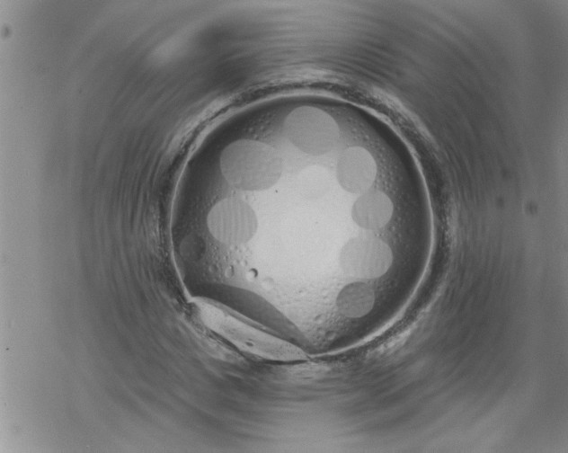 X0000069380825200605192146