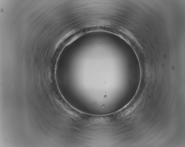 X0000069380826200605192147