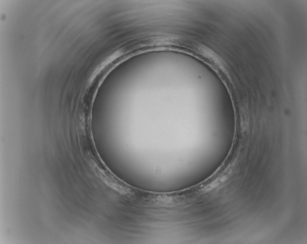 X0000069380827200605192147