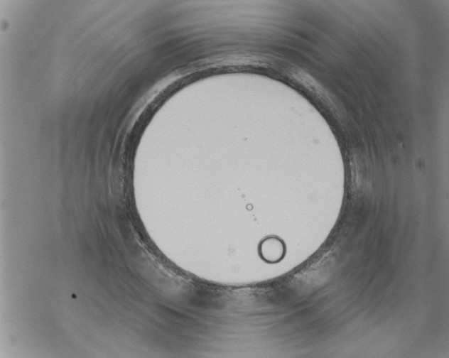 X0000069380828200605192147