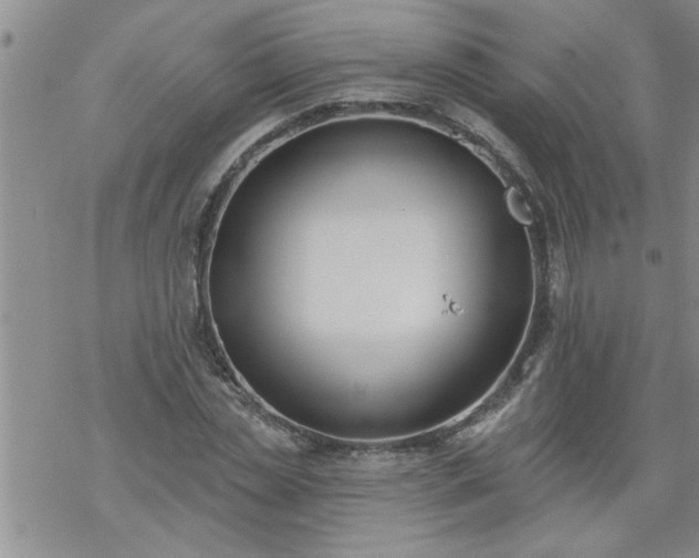 X0000069380829200605192147