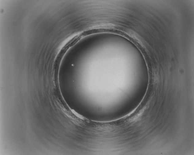 X0000069380830200605192147