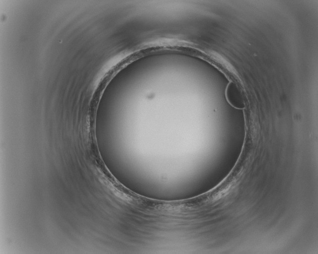 X0000069380831200605192147