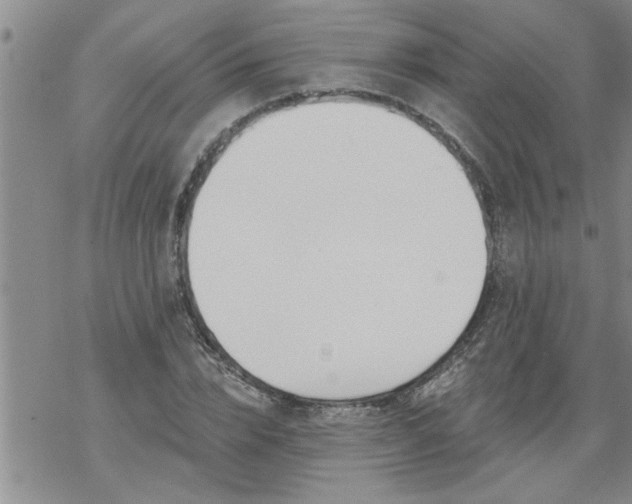 X0000069380832200605192147