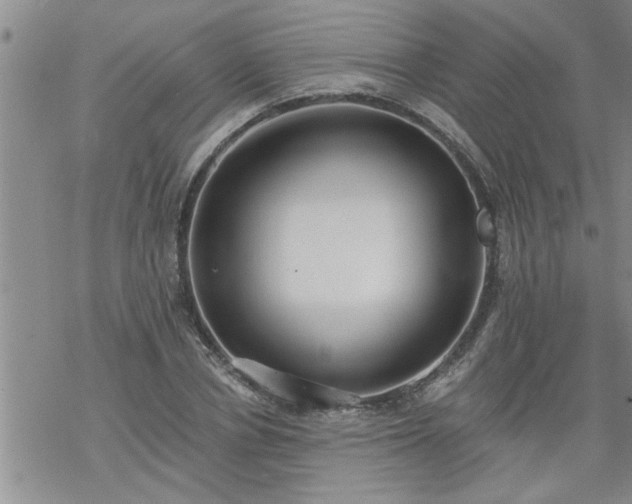 X0000069380834200605192147