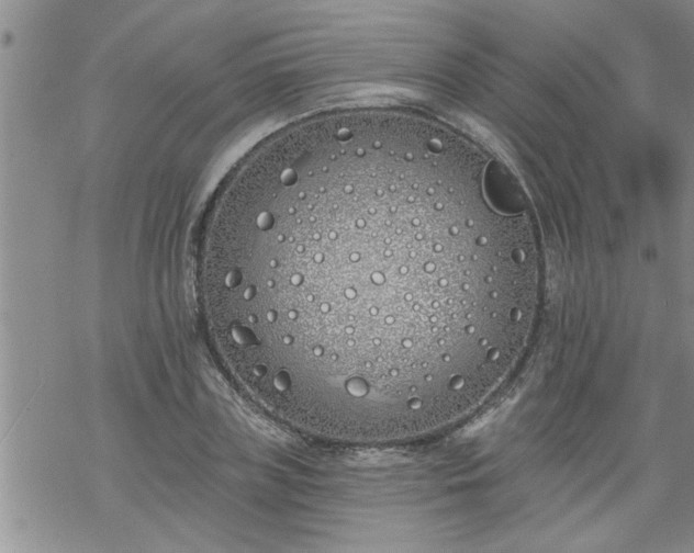 X0000069380835200605192147