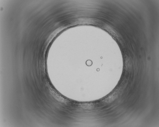 X0000069380836200605192147