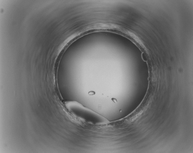 X0000069380837200605192147