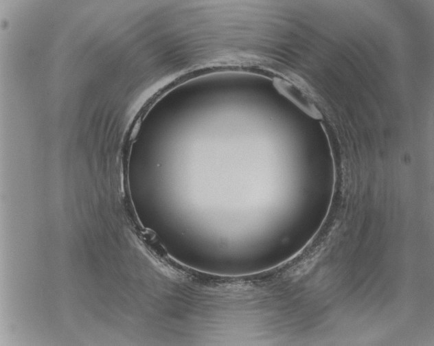 X0000069380838200605192147