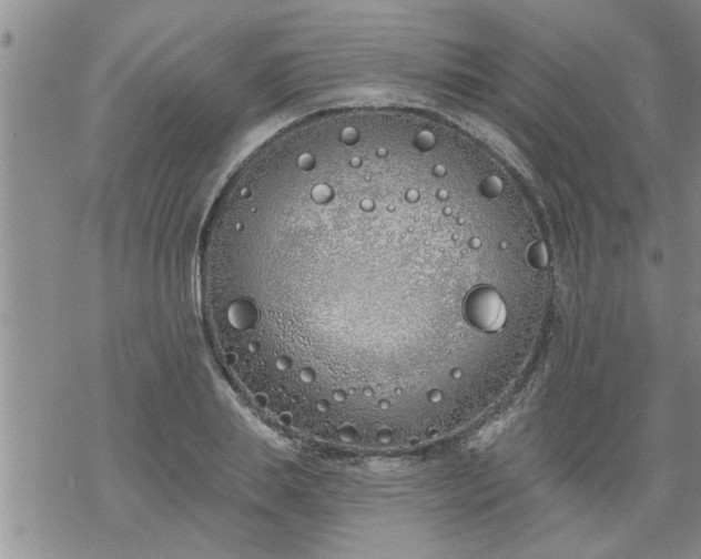 X0000069380839200605192147