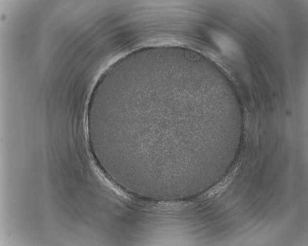 X0000069380840200605192147