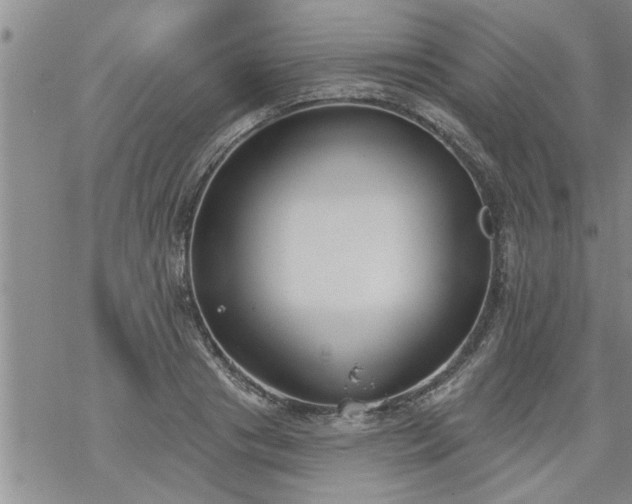 X0000069380841200605192147