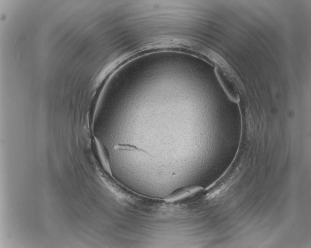 X0000069380842200605192147