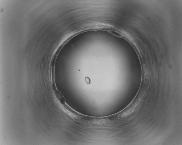 X0000069380843200605192147