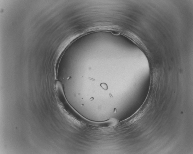 X0000069380844200605192147