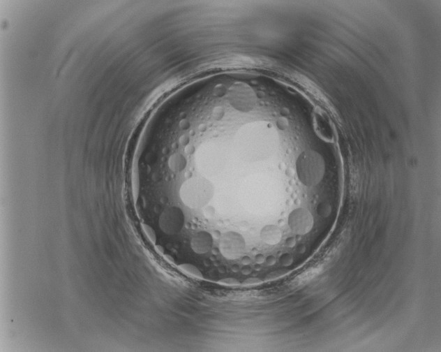 X0000069380845200605192147