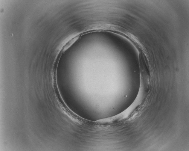 X0000069380846200605192147