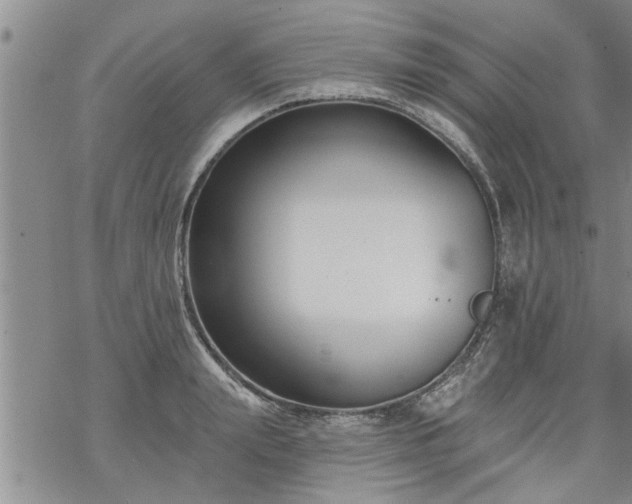 X0000069380847200605192147