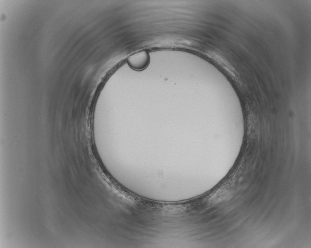 X0000069380848200605192147