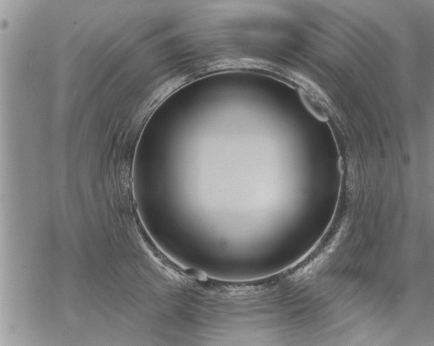 X0000069380849200605192147