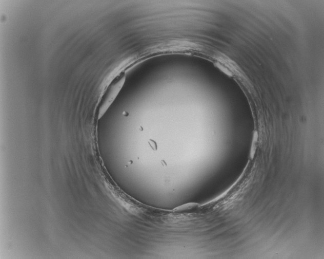 X0000069380850200605192147