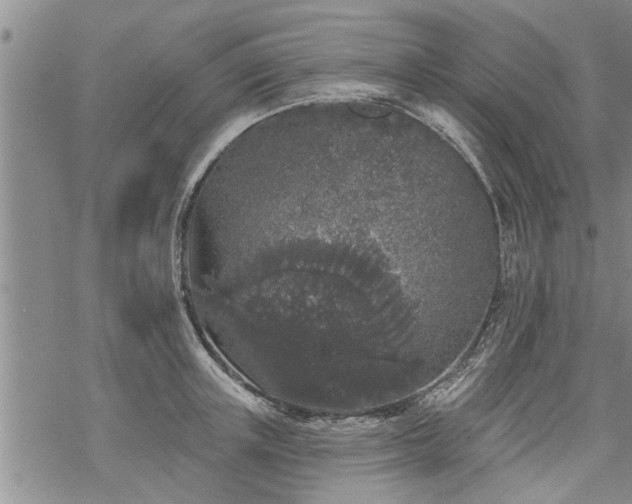 X0000069380851200605192147