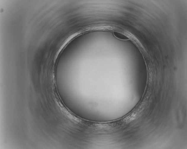 X0000069380852200605192147