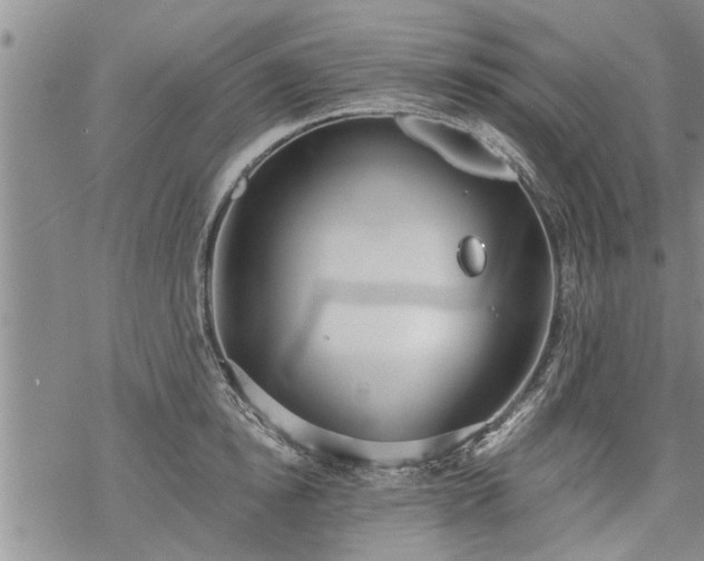 X0000069380854200605192147