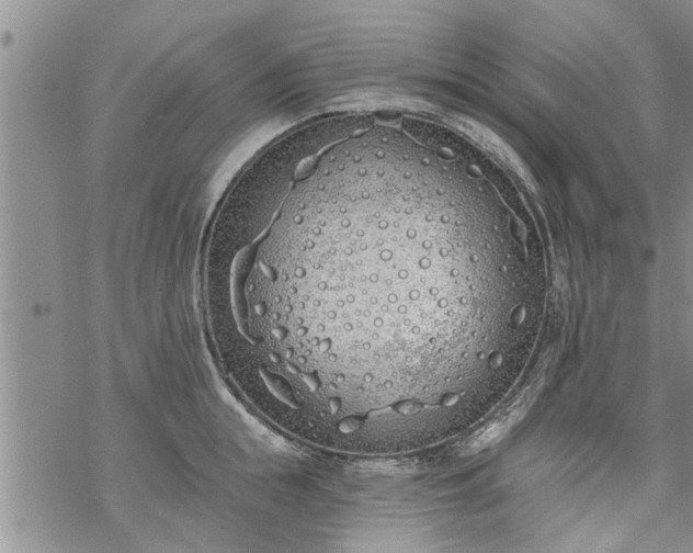 X0000069380855200605192147