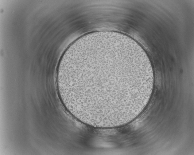 X0000069380856200605192147