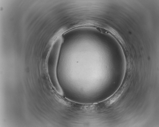 X0000069380858200605192147