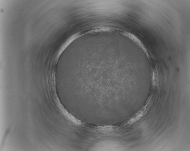 X0000069380859200605192147