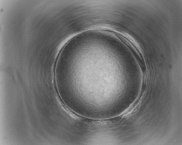 X0000069380862200605192147