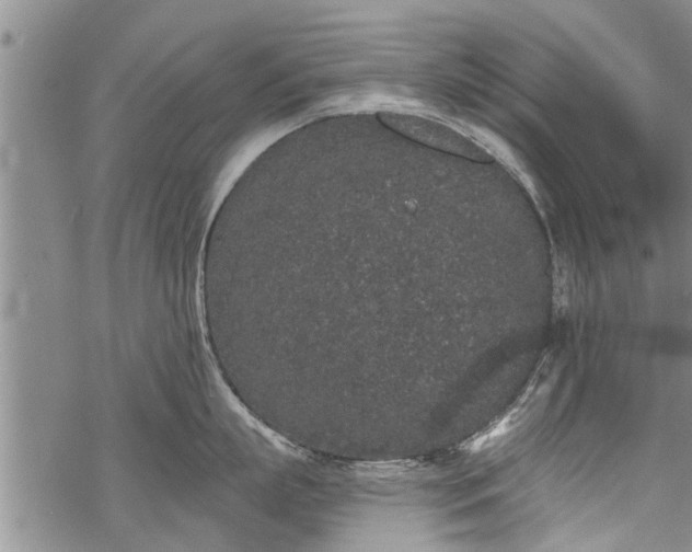 X0000069380863200605192147