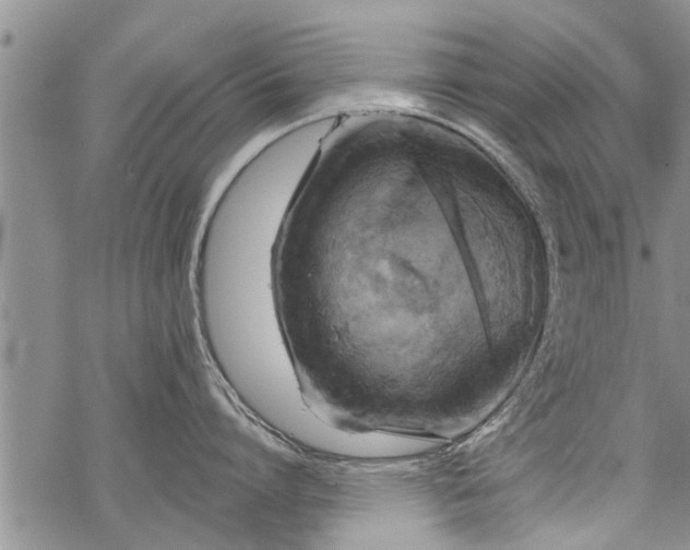 X0000069380864200605192147