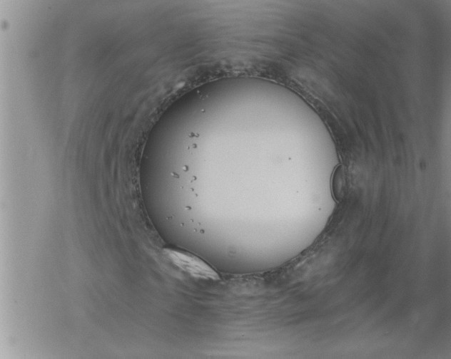 X0000069380865200605192146