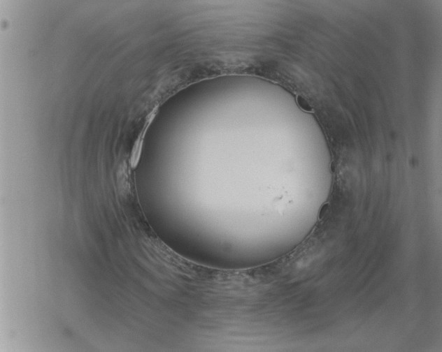 X0000069380866200605192146