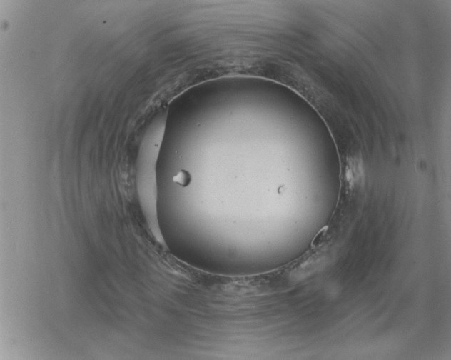 X0000069380867200605192146