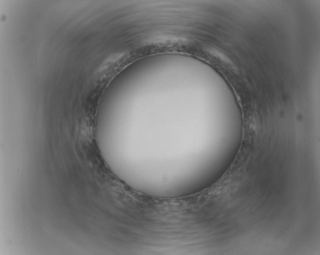 X0000069380869200605192146