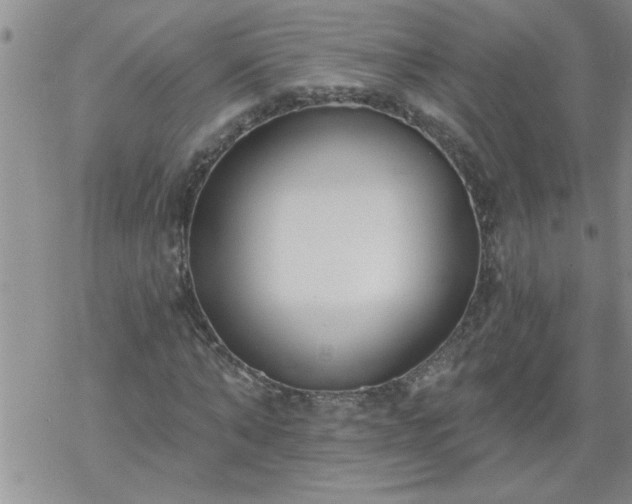 X0000069380870200605192146