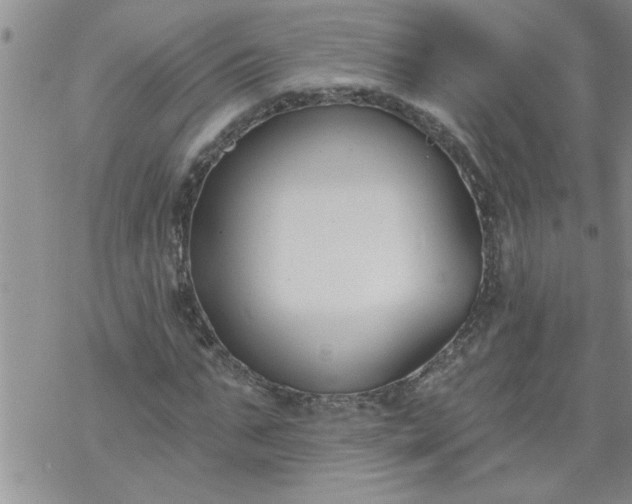 X0000069380871200605192146