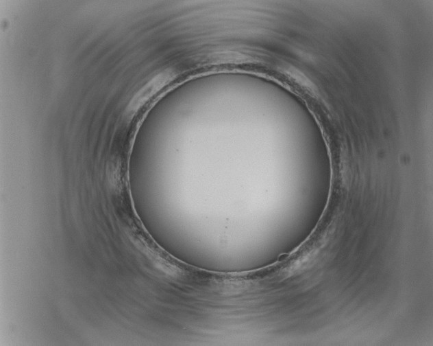 X0000069380873200605192146