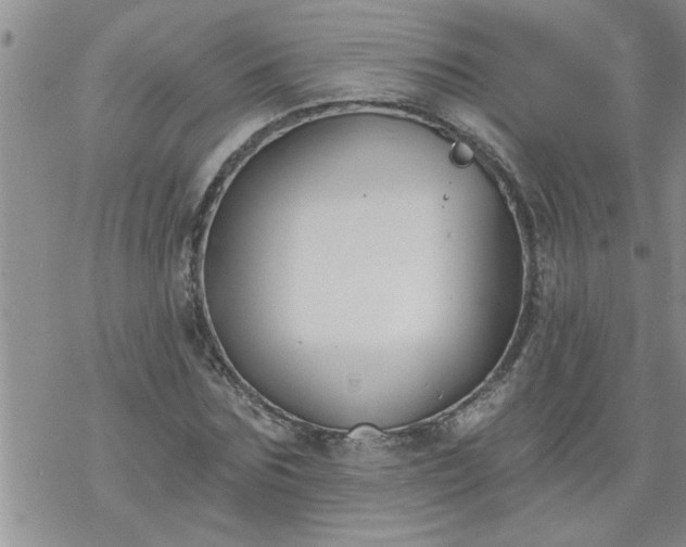 X0000069380875200605192146