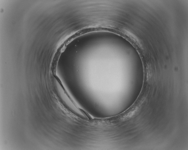 X0000069380876200605192146