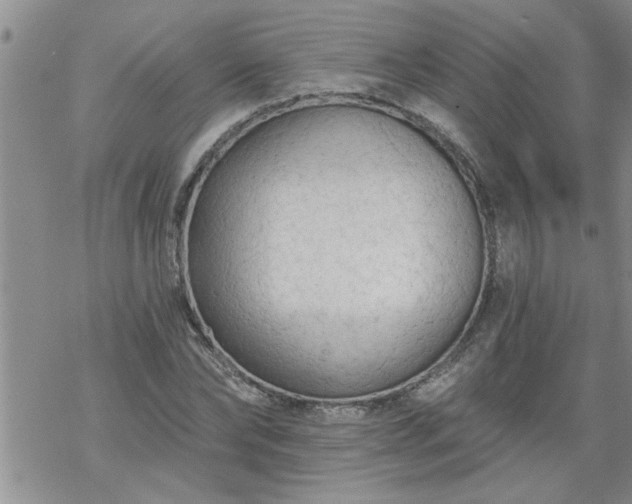 X0000069380878200605192146