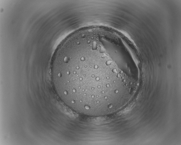 X0000069380879200605192146